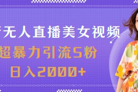 实战（11664期）最新无人直播美女视频，超暴力引流S粉日入2000+便宜07月17日中创网VIP项目