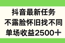 每天抖音最新任务，不露脸怀旧找不同，单场收益2.5k【揭秘】便宜07月17日冒泡网VIP项目