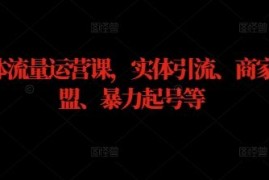 最新项目实体流量运营课，实体引流、商家加盟、暴力起号等09-26冒泡网