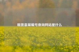 租赁备案编号查询网站是什么