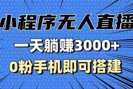 实战（13326期）抖音小程序无人直播，一天躺赚3000+，0粉手机可搭建，不违规不限流，小&#8230;11-13中创网