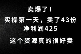 2024最新这个资源，需求很大，实操第一天卖了43份，净利润425【揭秘】09-13冒泡网