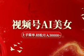 赚钱项目（11693期）视频号AI美女，上手简单，轻松月入30000+便宜07月19日中创网VIP项目