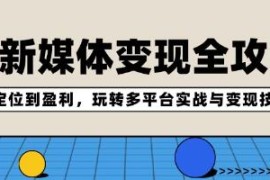 AI新媒体变现全攻略，从定位到盈利，玩转多平台实战与变现技巧VS抖音号运营