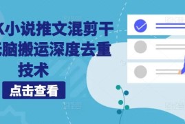 最新项目海外TK小说推文混剪干货，无脑搬运深度去重技术10-10冒泡网