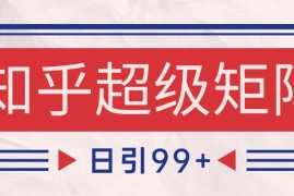 知乎超级矩阵玩法引流高质量精准粉SEO覆盖 日变现4000+