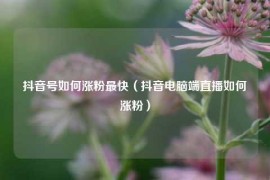 抖音号如何涨粉最快（抖音电脑端直播如何涨粉）