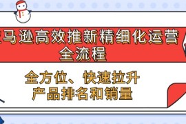 很火跨境电商项目，亚马逊-高效推新精细化 运营全流程，全方位、快速 拉升产品排名和销量