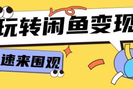 实战（11933期）从0到1系统玩转闲鱼变现，教你核心选品思维，提升产品曝光及转化率-15节便宜08月02日中创网VIP项目