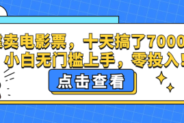 每天（12665期）靠卖电影票，十天搞了7000+，小白无门槛上手，零投入！09-21中创网