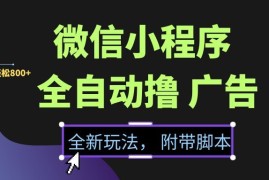 （15134期）微信小程序挂机撸广告，全新玩法，新手一天轻松800+【附带脚本】