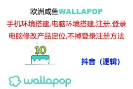 每天（11549期）wallapop整套详细闭环流程：最稳定封号率低的一个操作账号的办法便宜07月11日中创网VIP项目