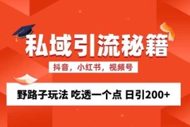 热门项目私域流量的精准化获客方法野路子玩法吃透一个点日引200+ 【揭秘】11-06冒泡网