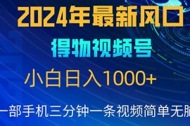 实战短视频运营项目，2024年5月最新蓝海项目，小白无脑操作，轻松上手，日入1000+