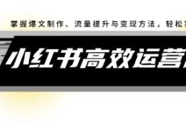 小红书高效运营课，掌握爆文制作、流量提升与变现方法，轻松实现盈利联合抖音号运营