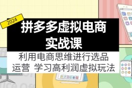 最新项目（12025期）拼多多虚拟电商实战课：虚拟资源选品+运营，高利润虚拟玩法（更新14节）便宜08月07日中创网VIP项目