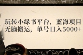 赚钱项目（12366期）玩转小绿书平台，蓝海项目，无脑搬运，单号日入5000+08-29中创网