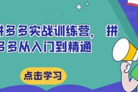 赚钱项目最新拼多多实战训练营， 拼多多从入门到精通08-24冒泡网