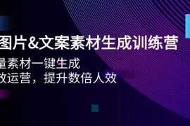 赚钱人工智能项目:AI图片&amp;文案素材生成训练营，海量素材一键生成 高效运营 提升数倍人效