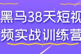 38天短视频实战训练营，快速掌握短视频制作与运营技巧跟抖音号运营