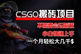 赚钱项目（12332期）CSGO装备搬砖项目，操作简单，不需要会玩游戏，小白也能快速上手，一&#8230;08-26中创网