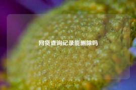 网贷查询记录能删除吗