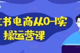 最新项目小红书电商从0-1实操运营课，小红书手机实操小红书/IP和私域课/小红书电商电脑实操板块等09-03冒泡网