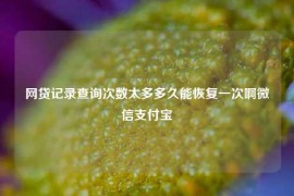 网贷记录查询次数太多多久能恢复一次啊微信支付宝