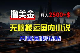 简单项目（12303期）最新撸美金项目，搬运国内小说爽文，只需复制粘贴，稿费月入2500+美金&#8230;08-25中创网