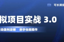 每日虚拟项目实战3.0，打造自动盈利店铺，可长期操作投入低，新手也能操作11-09冒泡网