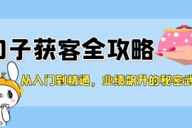 赚钱项目（12247期）从入门到精通，勾子获客全攻略，业绩飙升的秘密武器08-21中创网