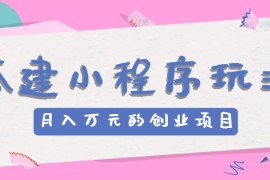 搭建小程序玩法分享，如何开启月收入万元的创业项目，06月24日福缘网VIP项目