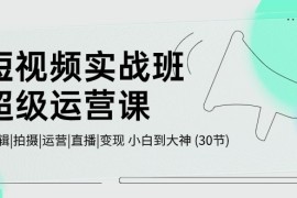 赚钱短视频运营项目，短视频实战班-超级运营课，|剪辑|拍摄|运营|直播|变现 小白到大神 (30节)