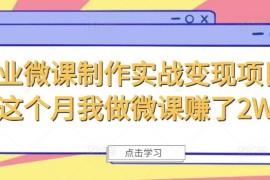 2024最新商业微课制作实战变现项目，这个月我做微课赚了2W+便宜08月03日冒泡网VIP项目