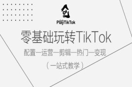 创业项目零基础玩转TikTok，配置一运营一剪辑一热门一变现，一站式教学09-17冒泡网