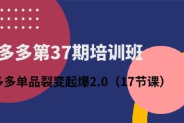 赚钱国内电商项目，拼多多第37期培训班：拼多多单品裂变起爆2.0