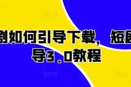 赚钱项目短剧如何引导下载，短剧引导3.0教程11-10冒泡网