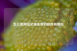 怎么查网贷记录免费的软件有哪些