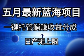 实战热门给力项目项目，五月刚出最新蓝海项目一键托管 躺赚收益分成 日产无上限