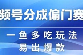 赚钱项目视频号创作者分成计划偏门类目，容易爆流，实拍内容简单易做【揭秘】11-12冒泡网