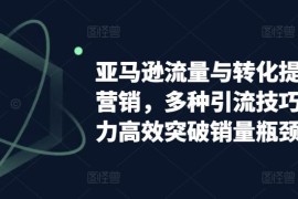 每天亚马逊流量与转化提升整合营销，多种引流技巧讲解助力高效突破销量瓶颈，06月30日冒泡网VIP项目