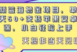 每天（11287期）最新蓝海撸金项目，单号一天50+， 支持苹果安卓双端，小白轻松上手 当&#8230;，06月27日中创网VIP项目