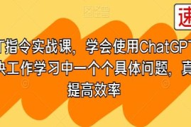 GPT指令实战课，使用CHATGPT，解决工作学习中一个个具体问题与抖音号运营