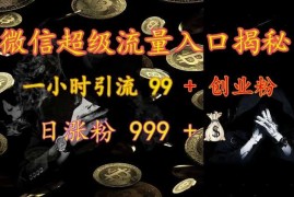 每天微信超级流量入口揭秘：一小时引流99+创业粉，日涨粉999+11-08冒泡网