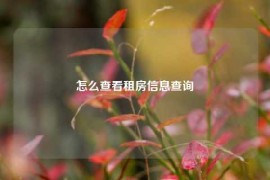 怎么查看租房信息查询