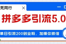 每日（12533期）拼多多引流付费创业粉，单日引流200+，日入4000+09-09中创网