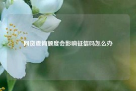 网贷查询额度会影响征信吗怎么办