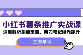 赚钱项目小红书-薯条推广实战课：深度解析投放策略，助力笔记曝光飙升08-24福缘网