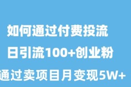 实操引流-涨粉-软件项目，如何通过付费投流日引流100+创业粉月变现5W+