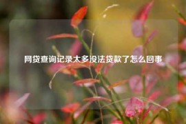 网贷查询记录太多没法贷款了怎么回事